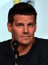 David Boreanaz David Boreanaz